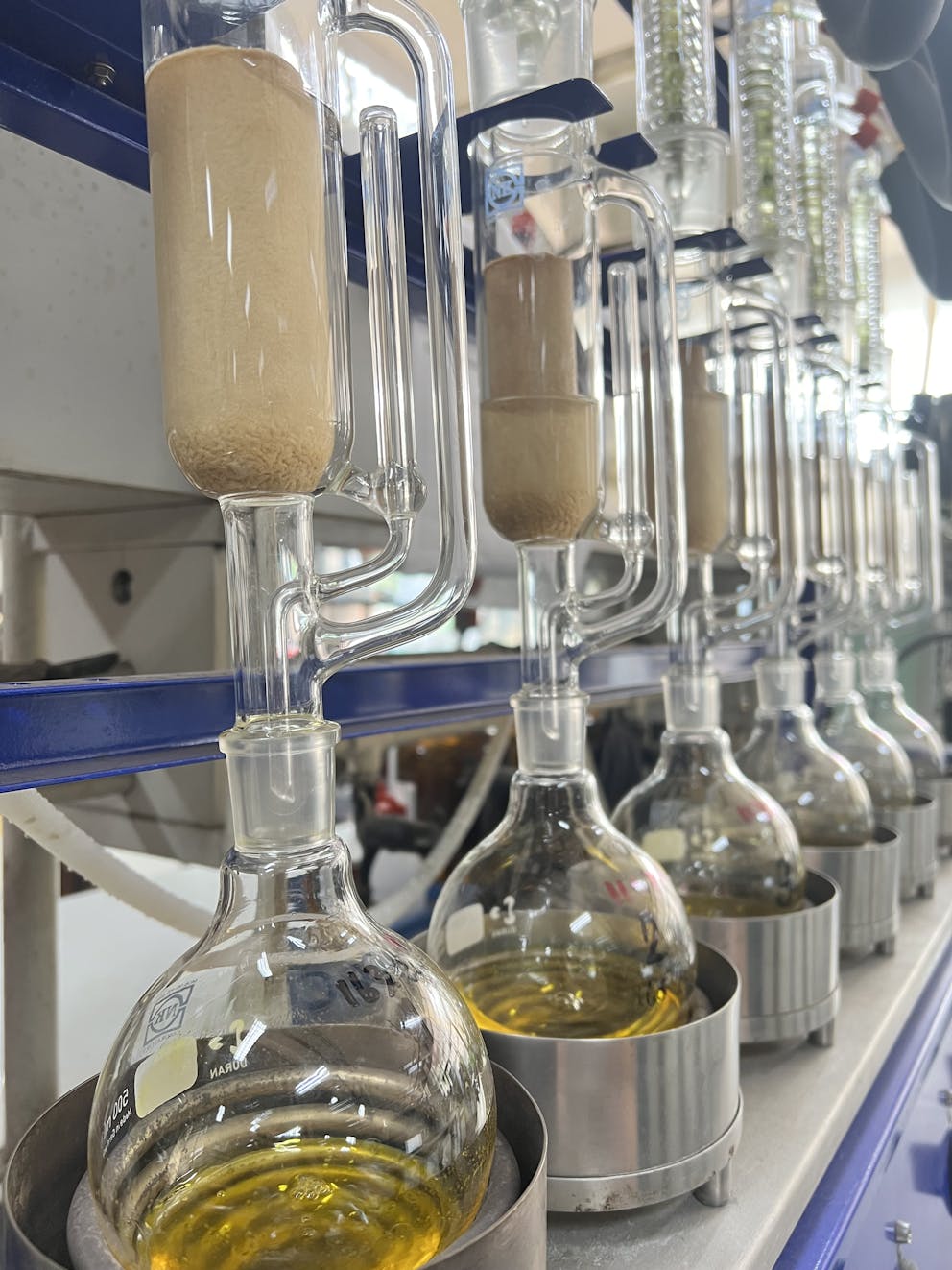 Is Canola Oil Banned in Europe? Exploring Concerns