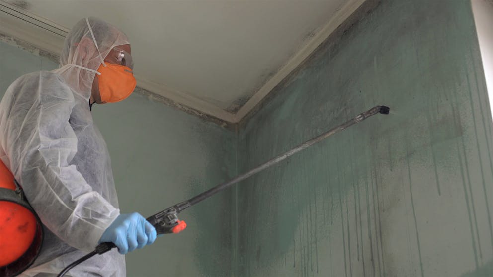 Mold removal