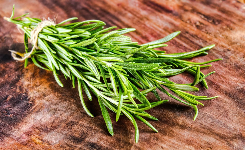 Fresh bundle of rosemary