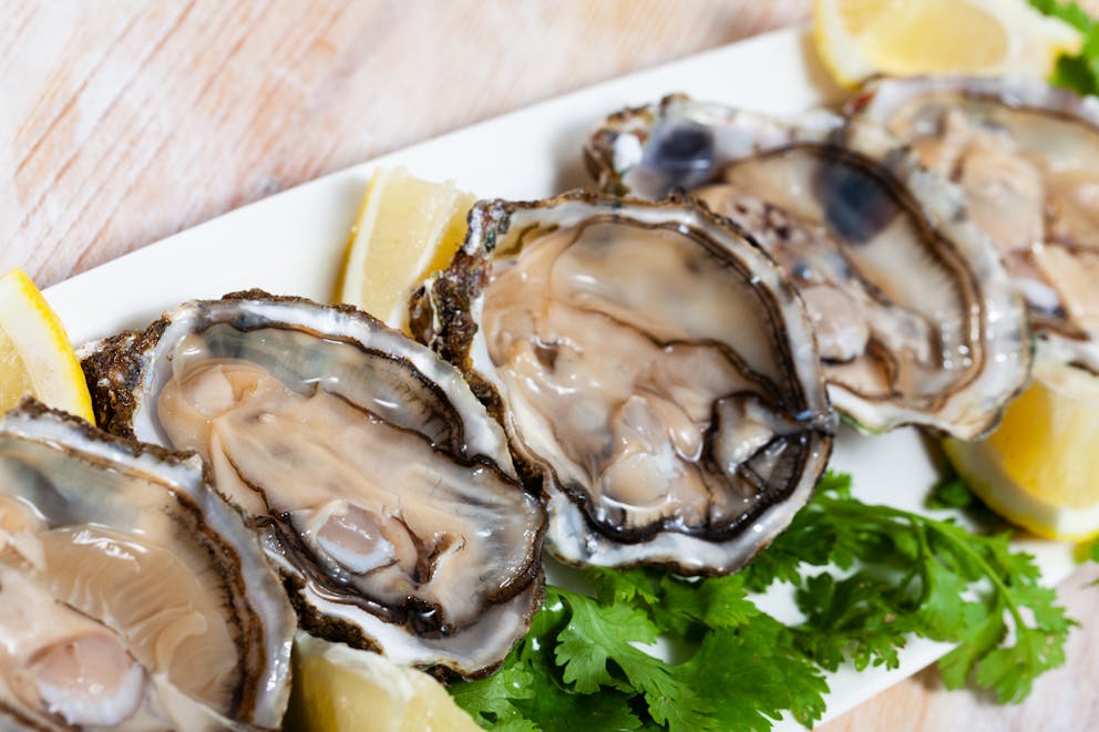 Six medium-sized oysters