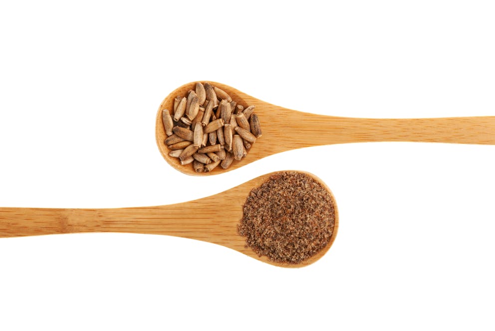 Ground milk thistle seeds on a wooden spoon
