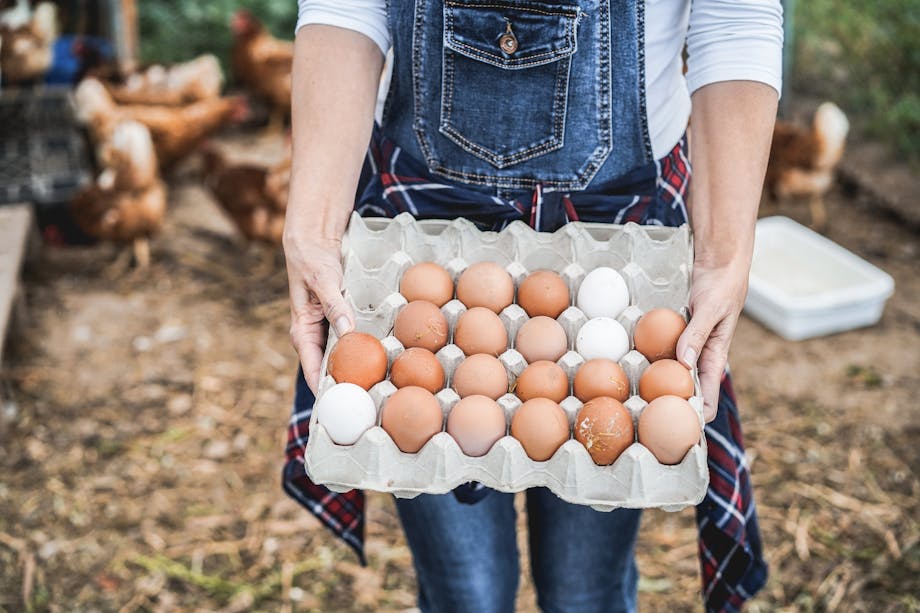 Farmer holding eggs