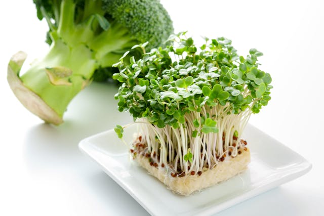 5 Benefits Of Broccoli Sprouts And Their Nutritional Value