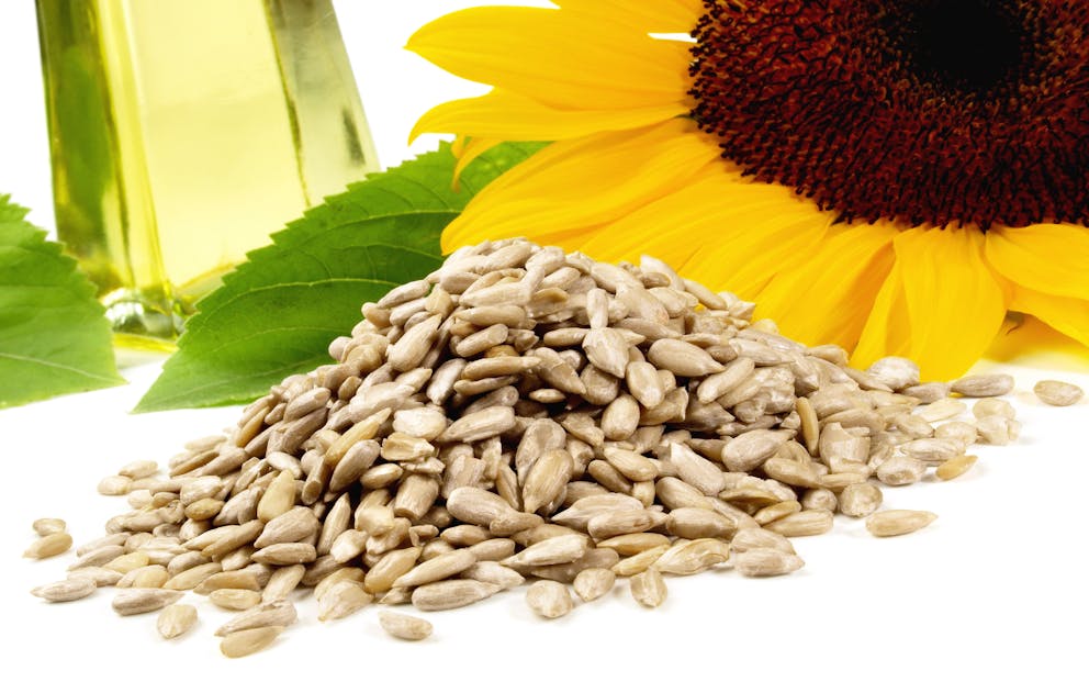 6 Amazing Health Benefits of Sunflower Lecithin | Dr. Berg