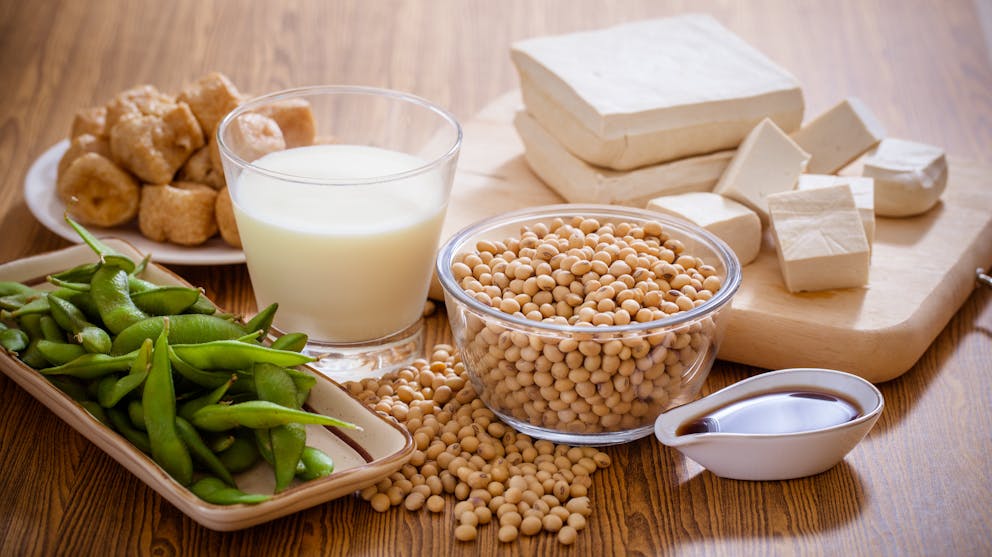 Soy foods