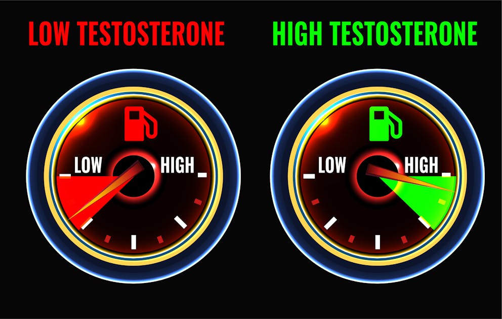 Testosterone illustration
