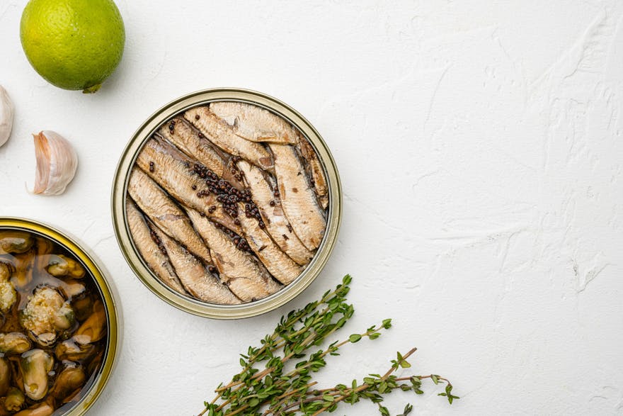 Sardines and the Keto Diet A Match Made in Healthy Eating Heaven