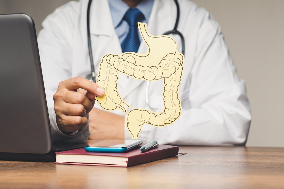 Human digestive tract model