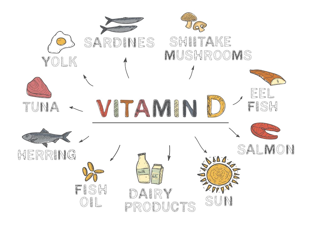 Vitamin D, infographics. Foods rich in vitamin D. natural products on white background