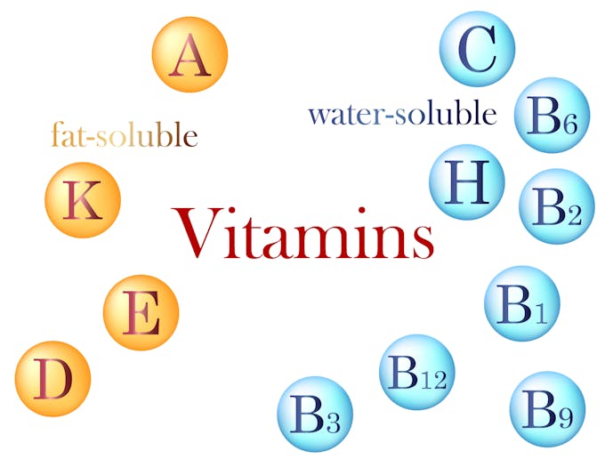 fat-soluble and water-soluble vitamins