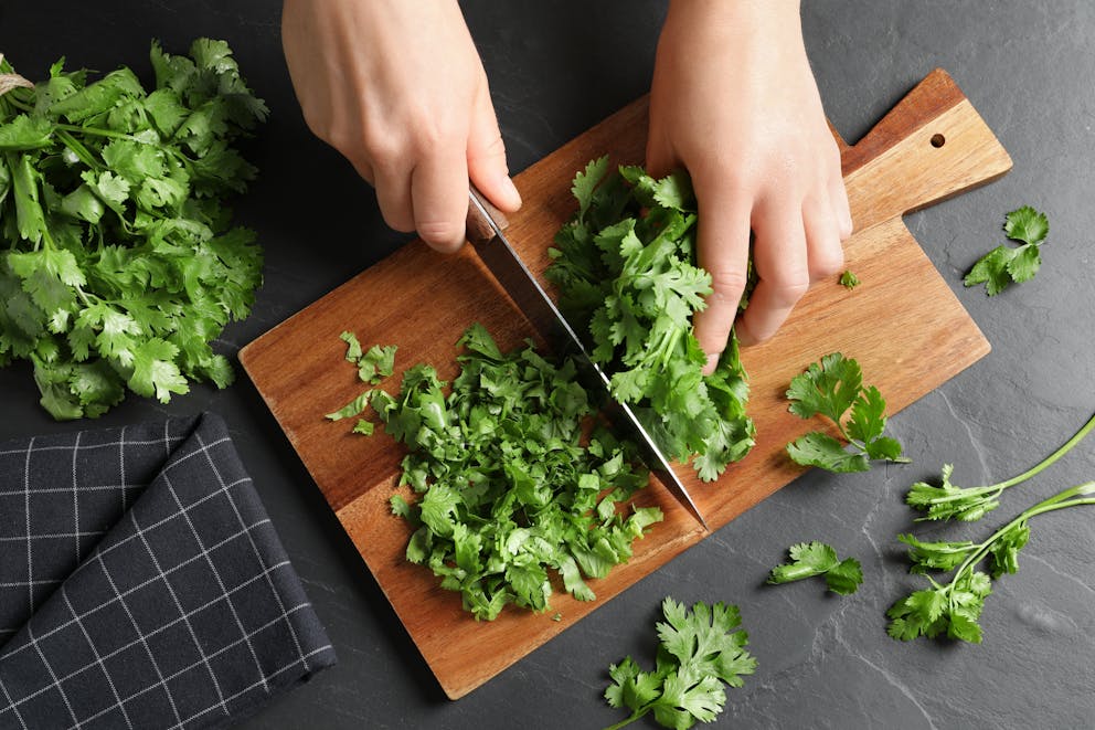 Women chopping cilantro