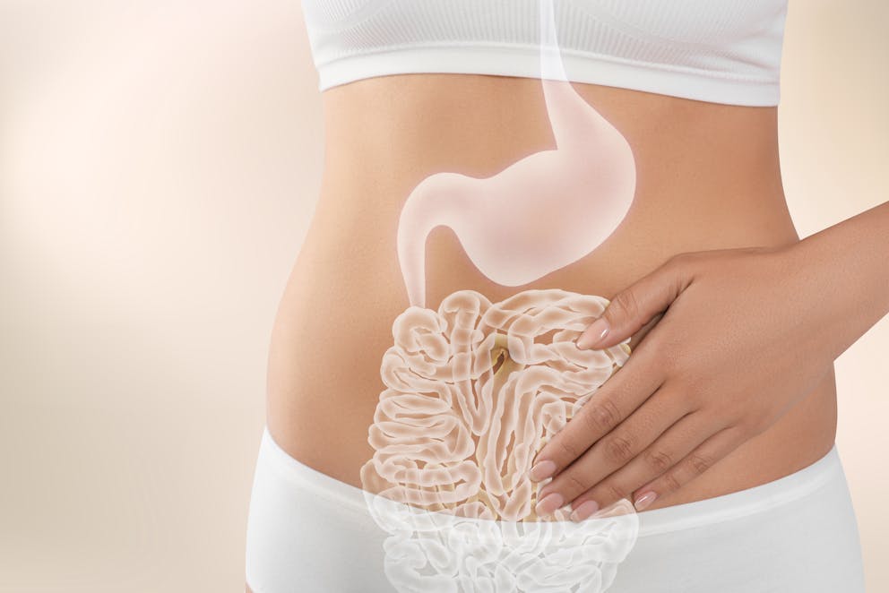 Digestive system diagram on woman