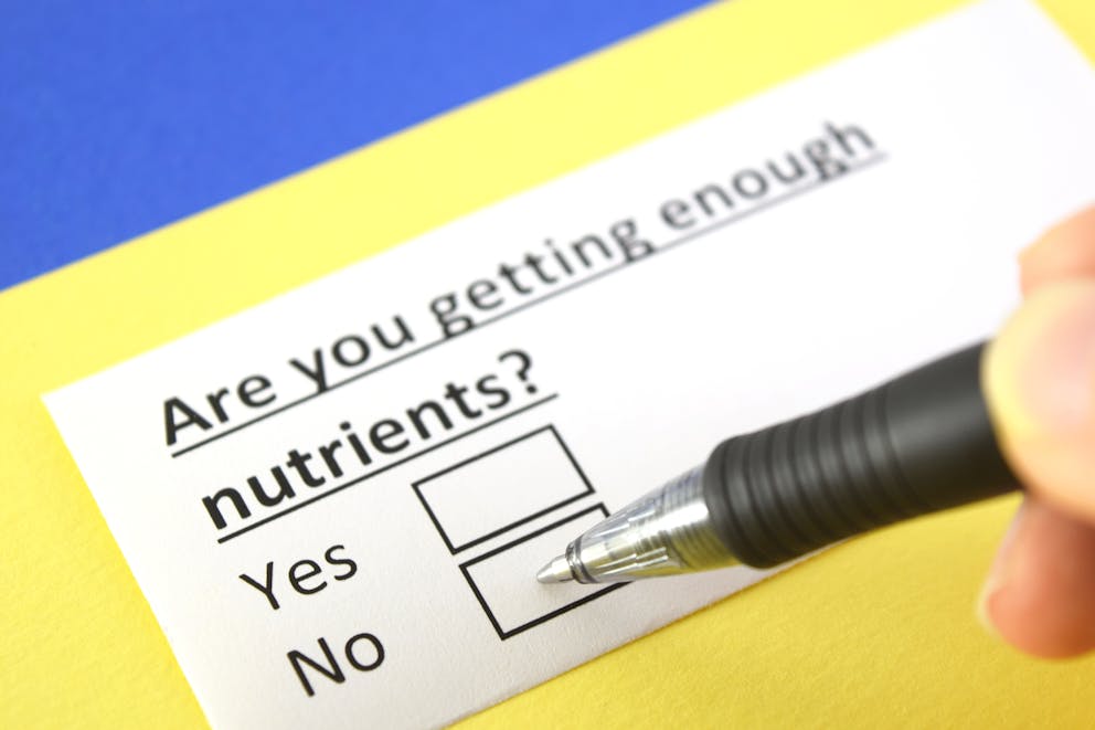 Nutrient intake survey